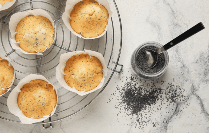 Mini cakes citron pavot